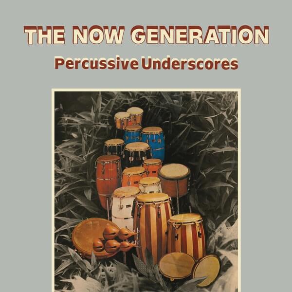 Peter Ludemann & Pit Troja - The Now Generation (Coloursound) - LP