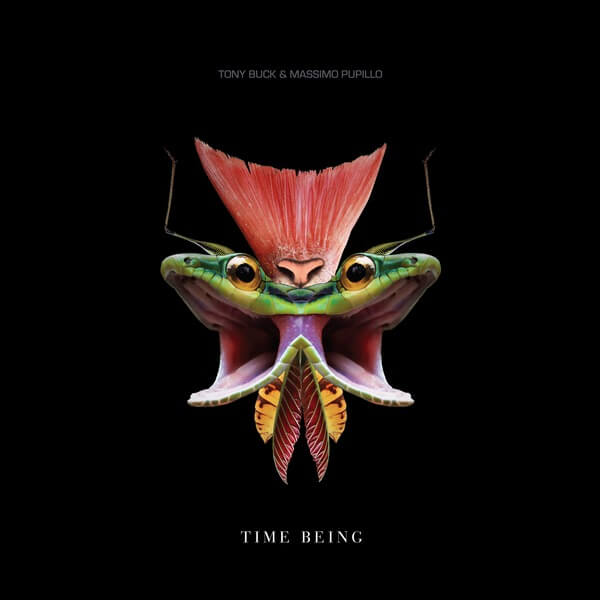 Tony Buck & Massimo Pupillo - Time Being - LP