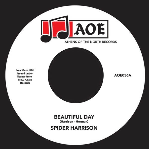 Spider Harrison - Beautiful Day - 7"