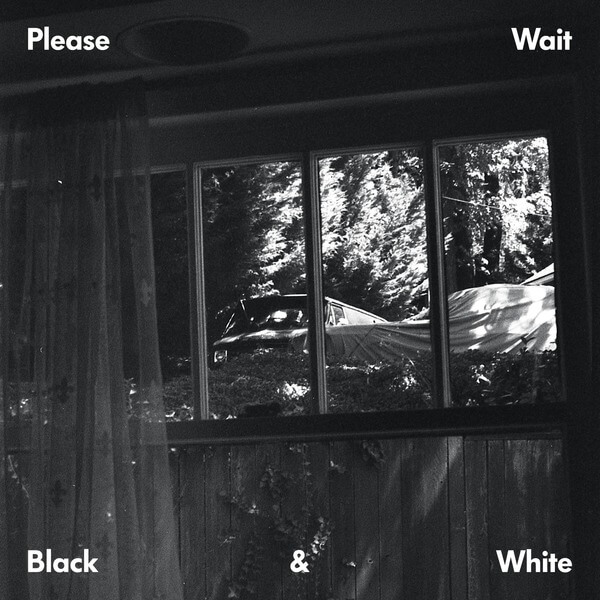 Please Wait (Ta-ku & matt mcwaters) - Black & White EP - LP