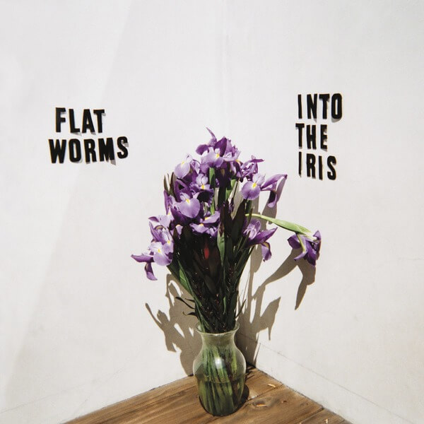 Flat Worms - Into The Iris - 12"