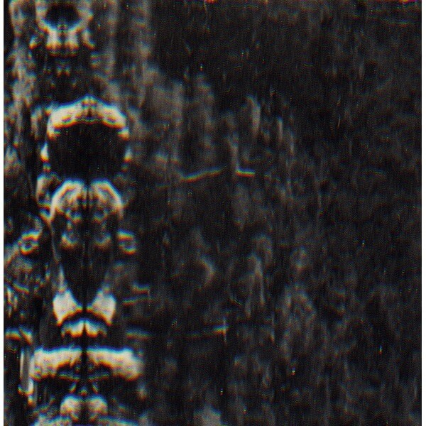 O Morto - The Forest, The People And The Spirits - LP