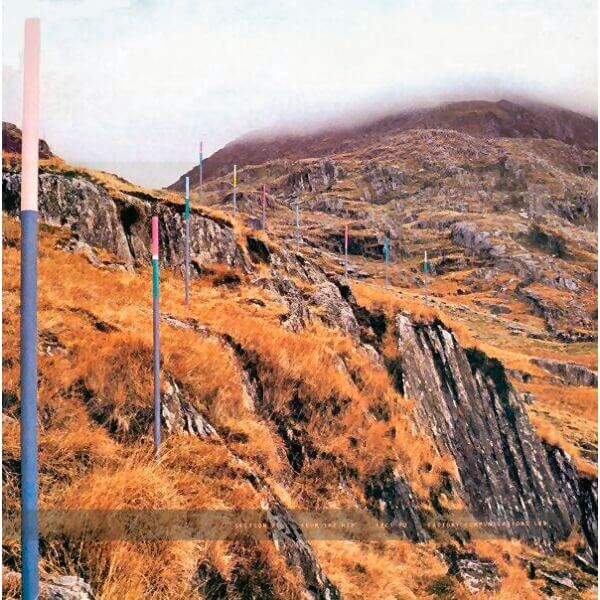 Section 25 - From The Hip (RSD) - CD