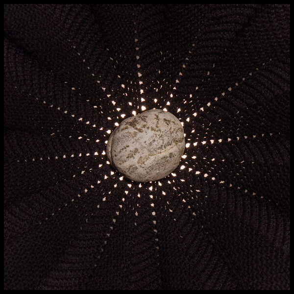 Nat Baldwin - In The Hollows - CD