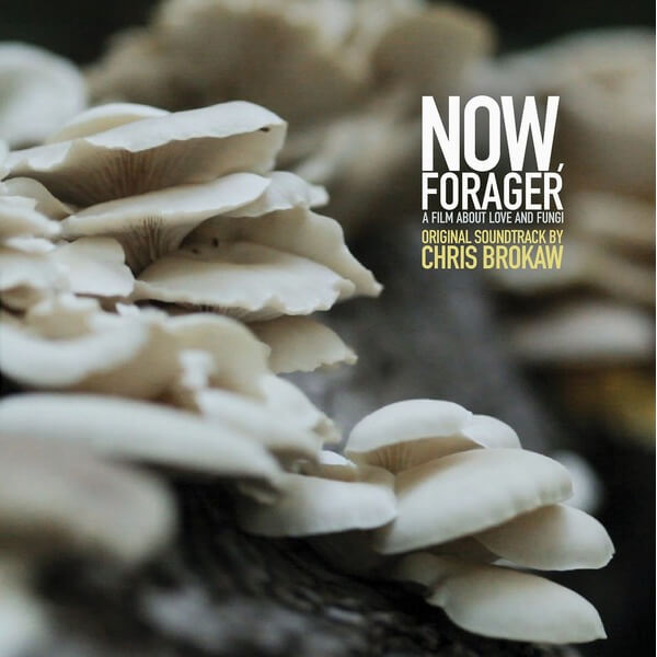 Chris Brokaw - Now, Forager (Original Motion Picture Soundtrack) - LP