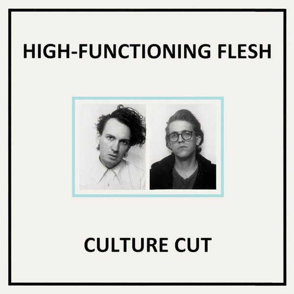 High Functioning Flesh - Culture Cut - LP