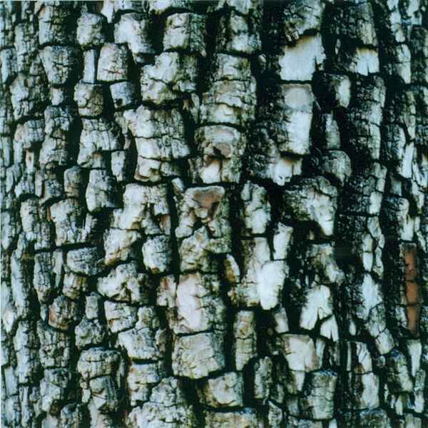 Ativin - Interiors - CD