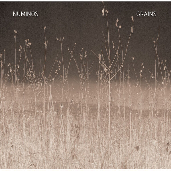 Numinos - Grains - LP