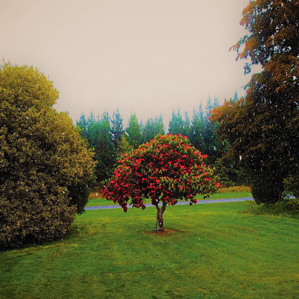 The Bats - Foothills - LP