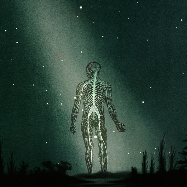 Prophetas - Maury Island Reverie - Tape