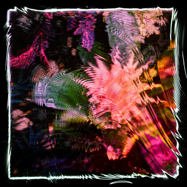 Camila Fuchs - Kids Talk Sun - LP