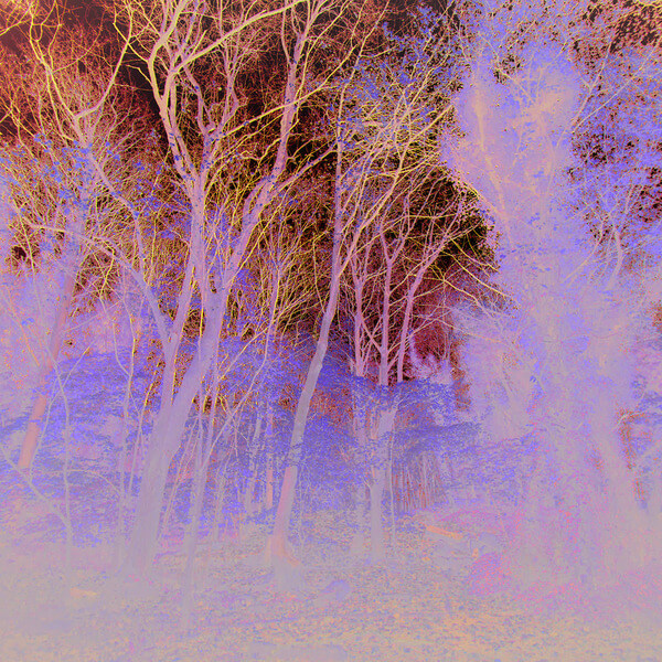 worriedaboutsatan - Time Lapse - CD