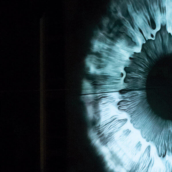 HEMS - Chaotic Affair - 12"