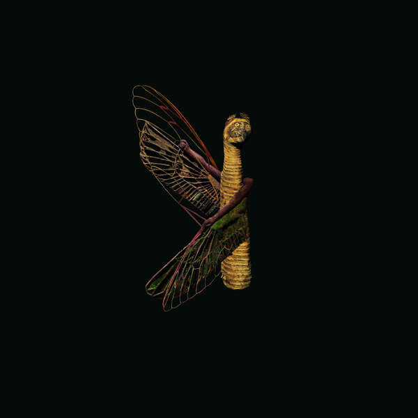 Maurice Louca - Saet El Haz - CD