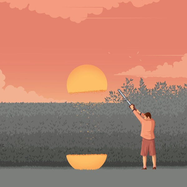 Slow Meadow - Happy Occident - CD