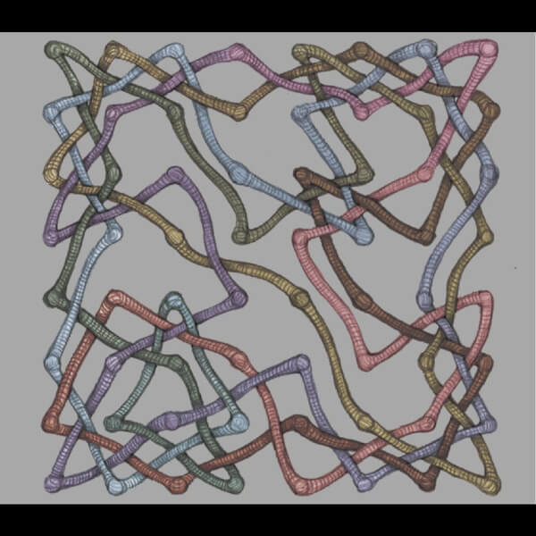 Miles Okazaki, Trevor Dunn, Dan Weiss, John Zorn - Hive Mind - CD