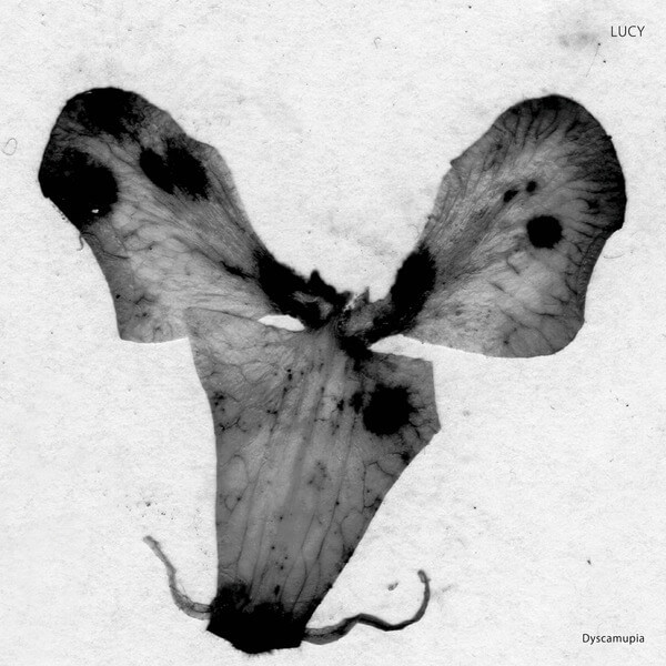 Lucy - Dyscamupia - 12"