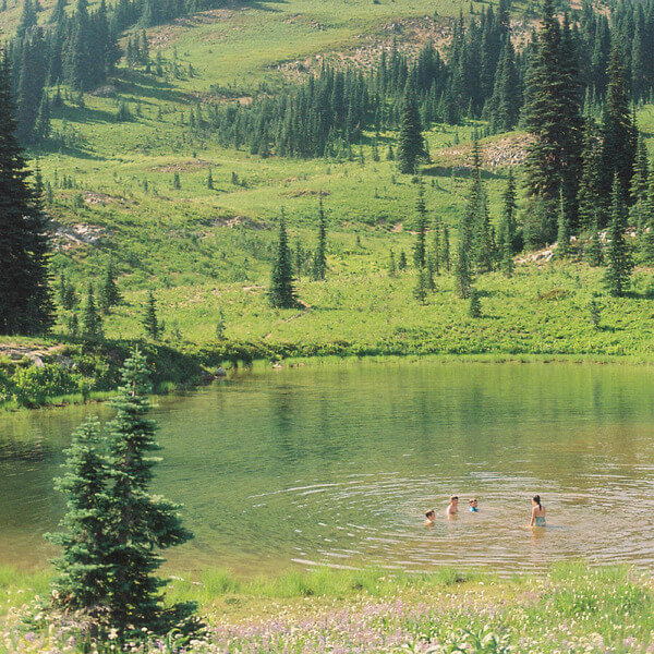 Skirts - Great Big Wild Oak - LP