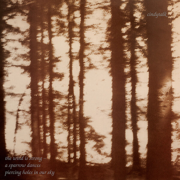 Cindytalk - The Wind Is Strong... - LP