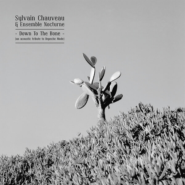 Sylvain Chauveau & Ensemble Nocturne - Down To The Bone - CD