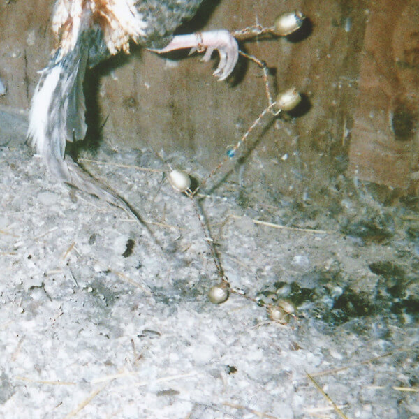 KRAMP - Nervous Rattles - LP