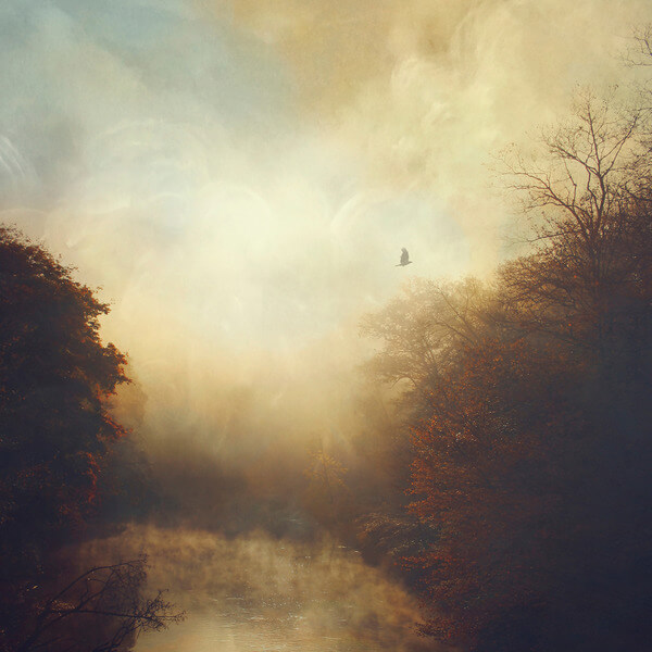 Stray Theories - This Light - LP