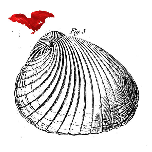 Petter Eldh, Koma Saxo & Sofia Jernberg - Koma West - LP