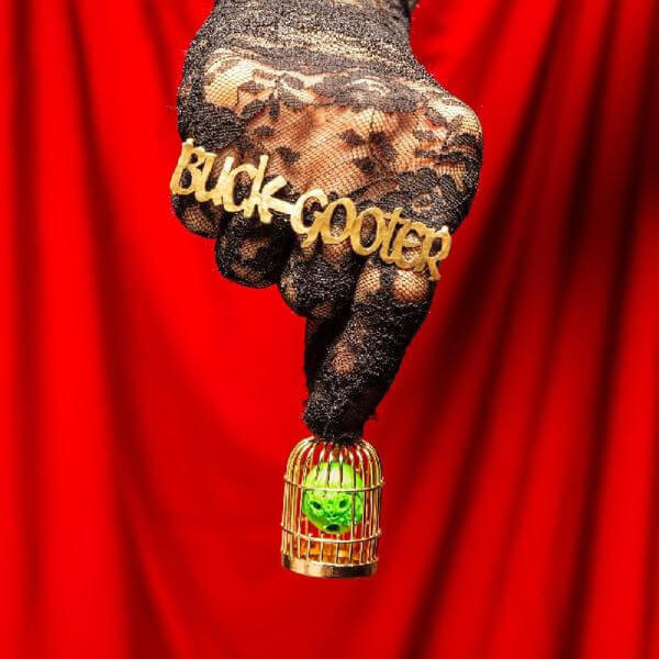 Buck Gooter - Head In A Bird Cage - LP