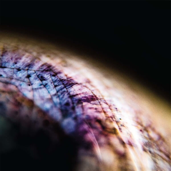 Emptyset - Skin - LP
