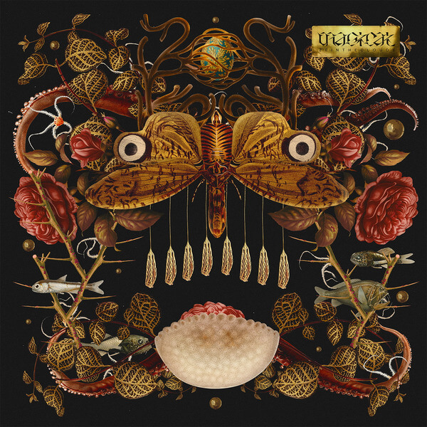 Ze in the Clouds - Magical - LP