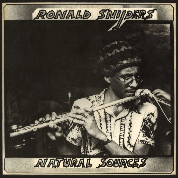 Ronald Snijders - Natural Sources - LP