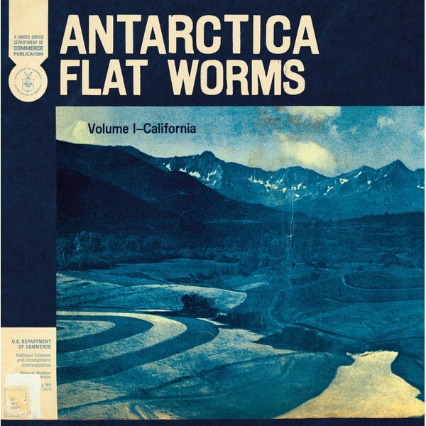 Flat Worms - Antarctica - Tape