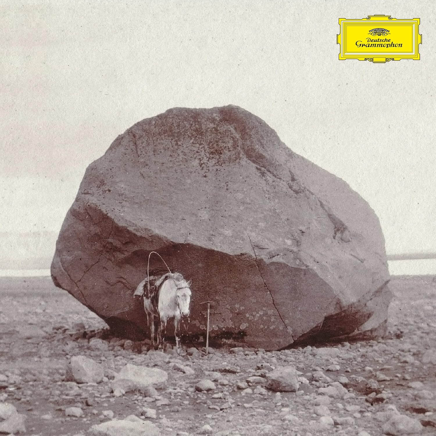 Snorri Hallgrimsson - Longer Shadows, Softer Stones - Vinyl LP