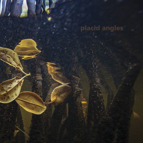 Placid Angles - Touch The Earth - 3x12"