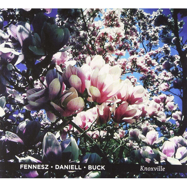 Fennesz/Daniell/Buck - Knoxville - CD