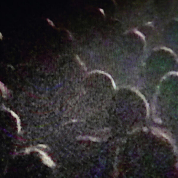 Michel Cloup Duo - Live A La Gaite' Lyrique - Paris 2014 - CD