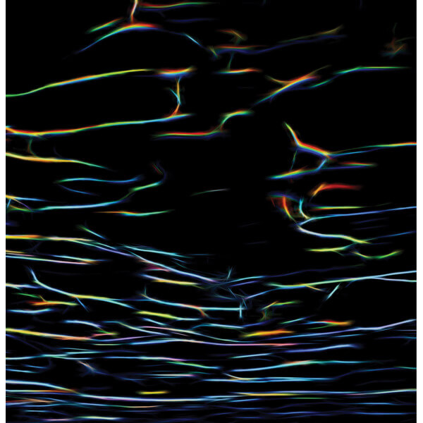 Porter Ricks - Biokinetics - CD