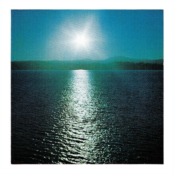 Joanna Brouk - The Space Between - LP