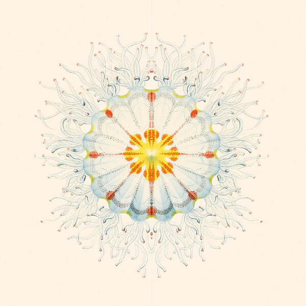 Charlie Charlie - Litte Things - LP