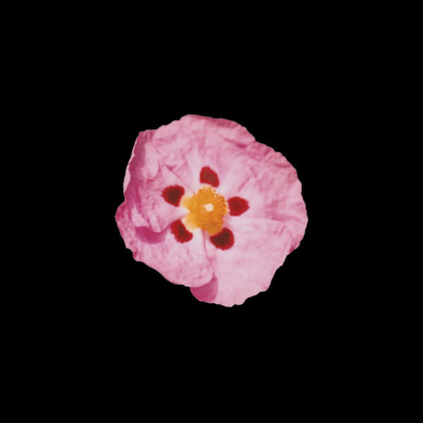 Kit Grill - Fragile - Tape