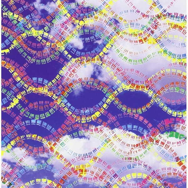 !!! (Chk Chik Chick) - Louden Up Now - 2LP