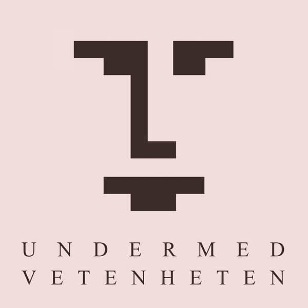 UNDERMEDVETENHETEN - UNDERMEDVETENHETEN - LP
