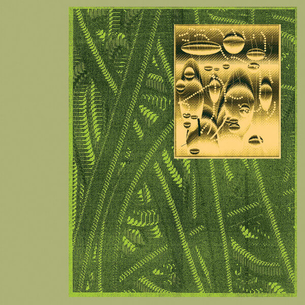 De Beren Gieren - Less Is Endless - 2LP