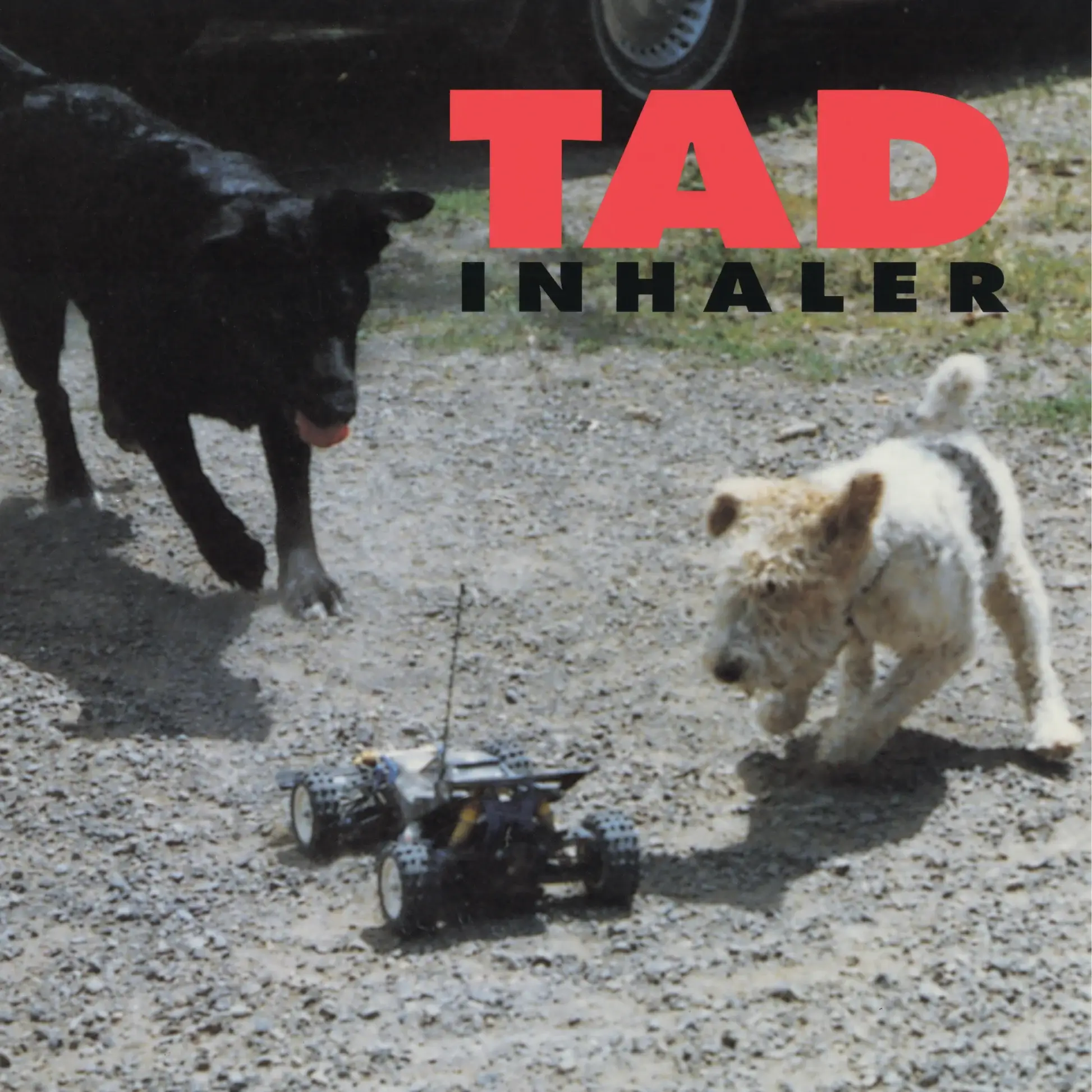 Tad - Inhaler - Vinyl LP