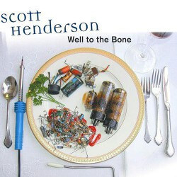Scott Henderson - Well To The Bone - CD
