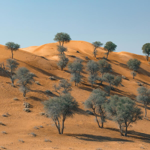 Teleseen - Exposures EP (Ft. Black Loops remix) - 12"