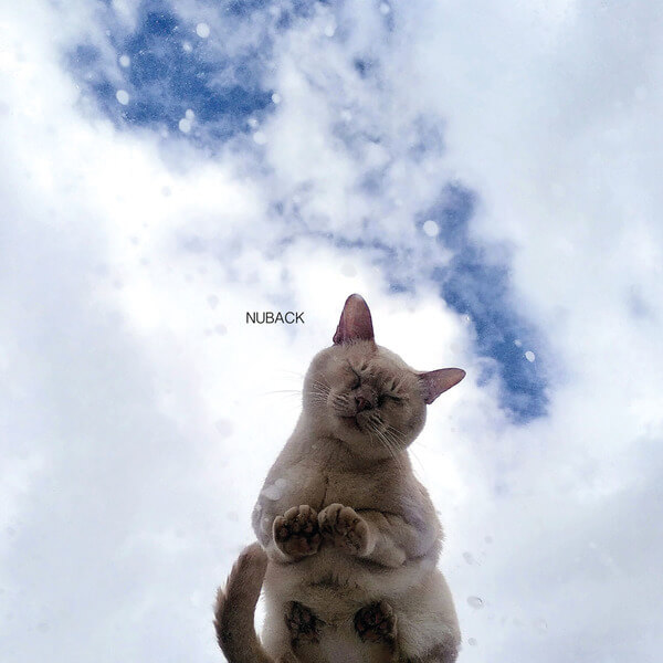 Nuback - When The Party Is Over / Heartbeat Summer - 7"