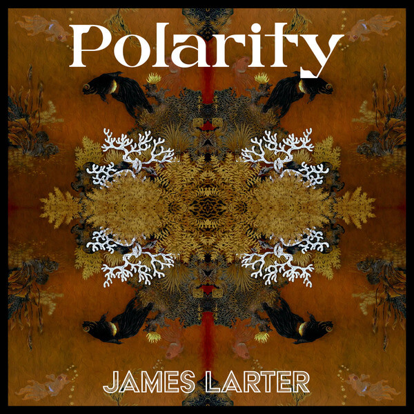 James Larter - Polarity - 12"