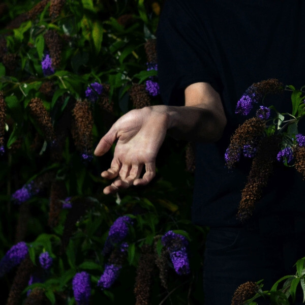 Nordmann - In Velvet - LP