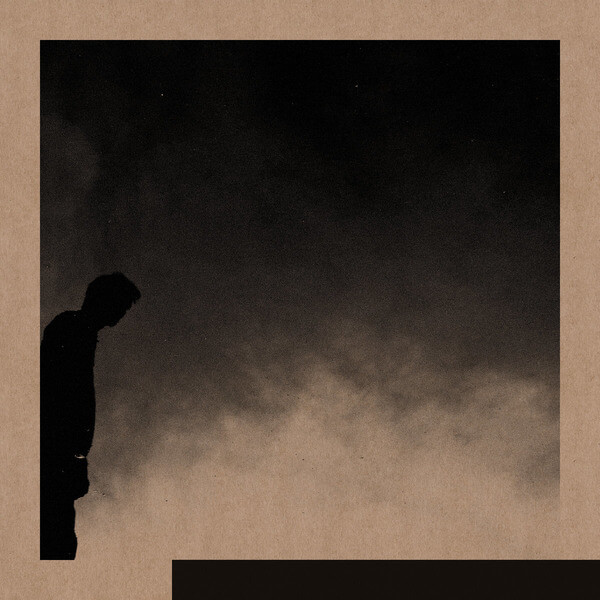 David Allred - Felt The Transition - LP